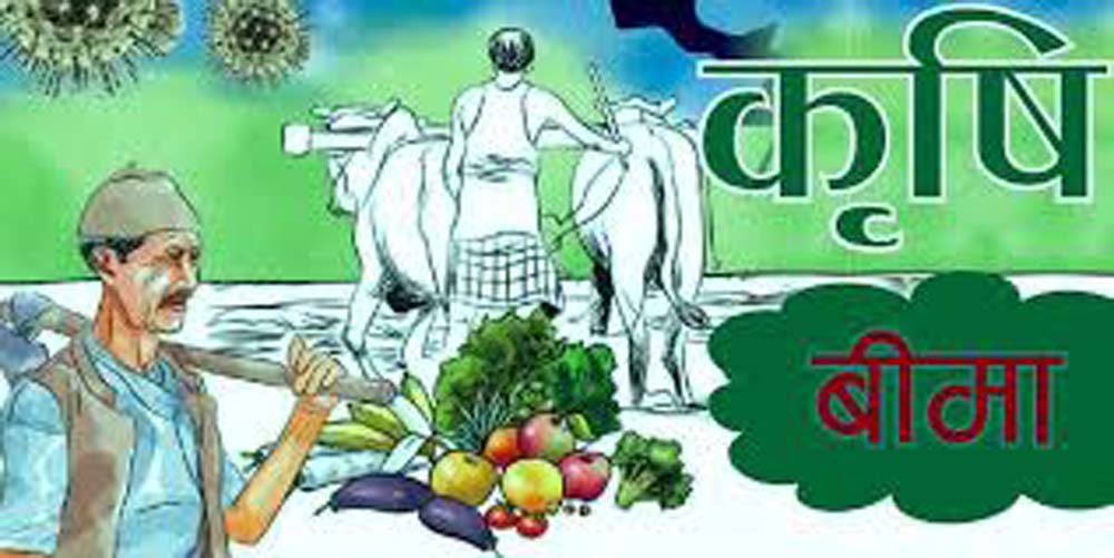 कृषि बीमाप्रति किसानको आकर्षण बढेन