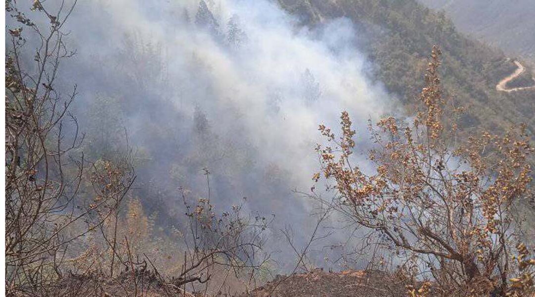 डढेलो बाट रामेछापमा ४ हजार पाँच सय हेक्टर वन सखाप ः डढेलोका कारण २ जनाको ज्यान गयो