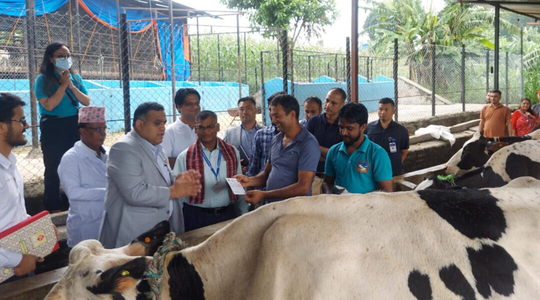 बागमती प्रदेशमा ७० हजार भन्दा बढी पशुलाई लम्पी स्कीनविरुद्धको खोप लगाइयो