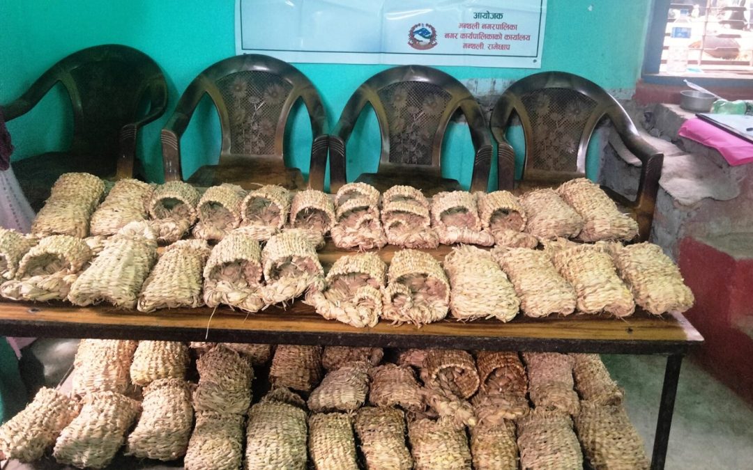 घरेलु खोस्टा र परालबाट चकटी तथा जुत्ता बनाउने तालिम मन्थली ११ मा सम्पन्न