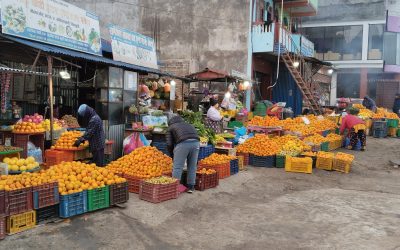 रामेछापमा जुनारको मूल्य आकासियो, प्रतिकिलो १ सय ३० रुपैयाँसम्म