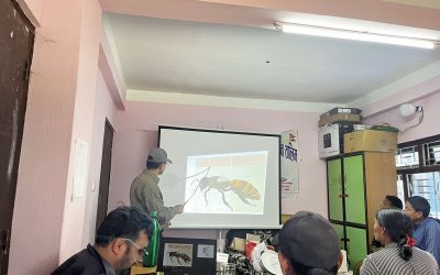 लिखु तामाकोशीमा  व्यावसायिक मौरी पालन तालिम सुरु
