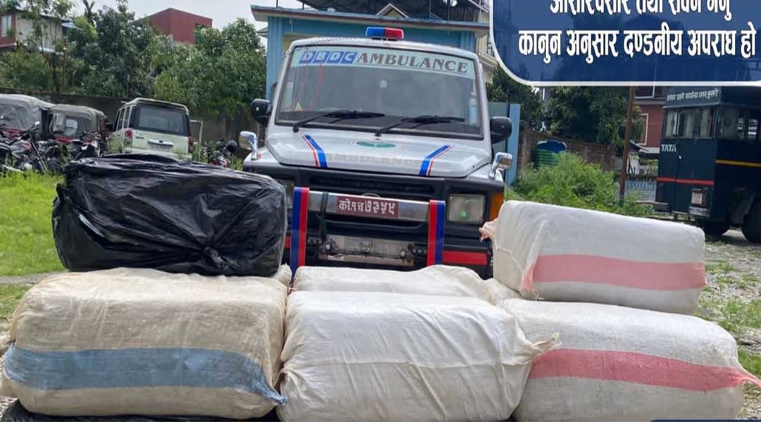 एम्बुलेन्समा साढे चार क्विन्टल गाँजा, चालक फरार