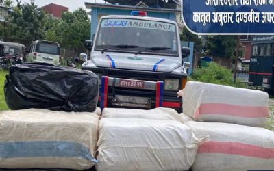 एम्बुलेन्समा साढे चार क्विन्टल गाँजा, चालक फरार