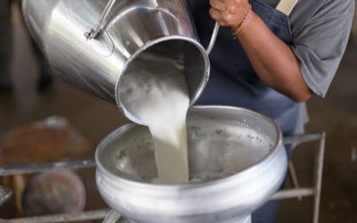 लिखु तामाकोशीमा डेरी उद्योग सञ्चालन सम्बन्धी तालिम आयोजना हुने